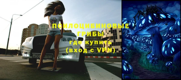 а пвп мука Галич
